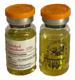 Тестостерон энантат цена